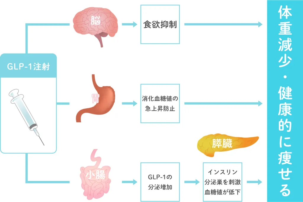 体重減少・健康的に痩せる